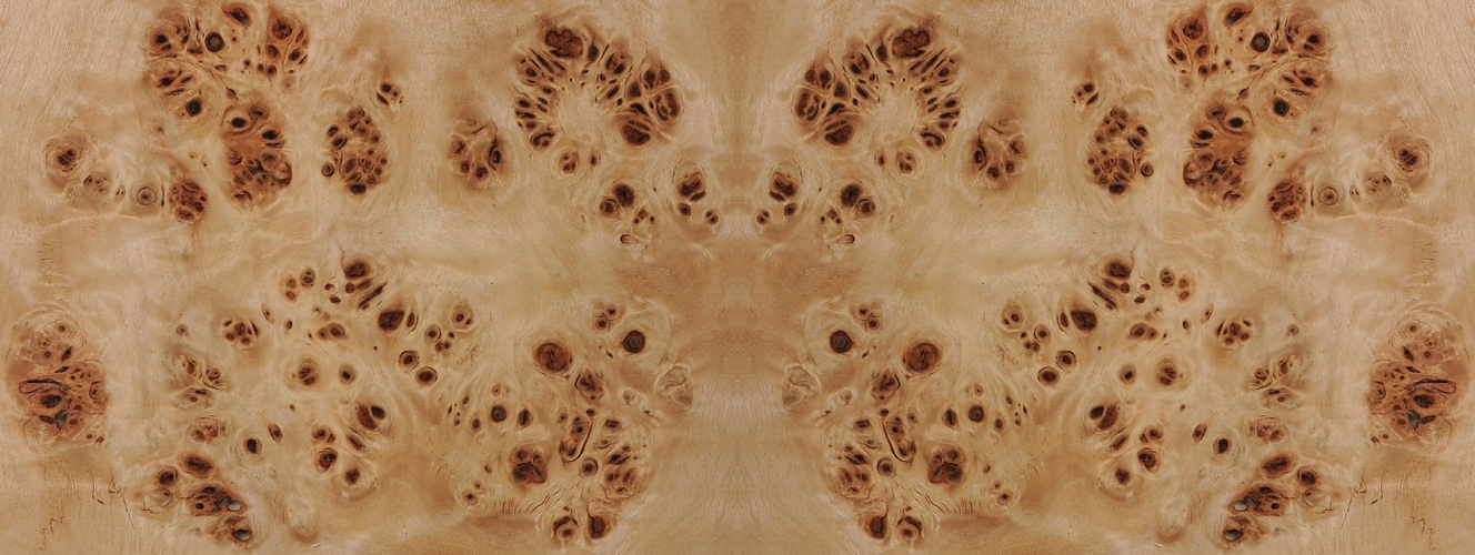 Poplar/Mappa Burl