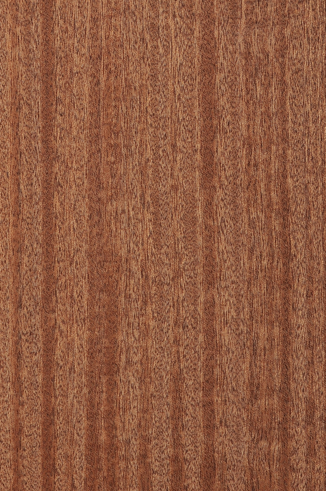 Sapelli