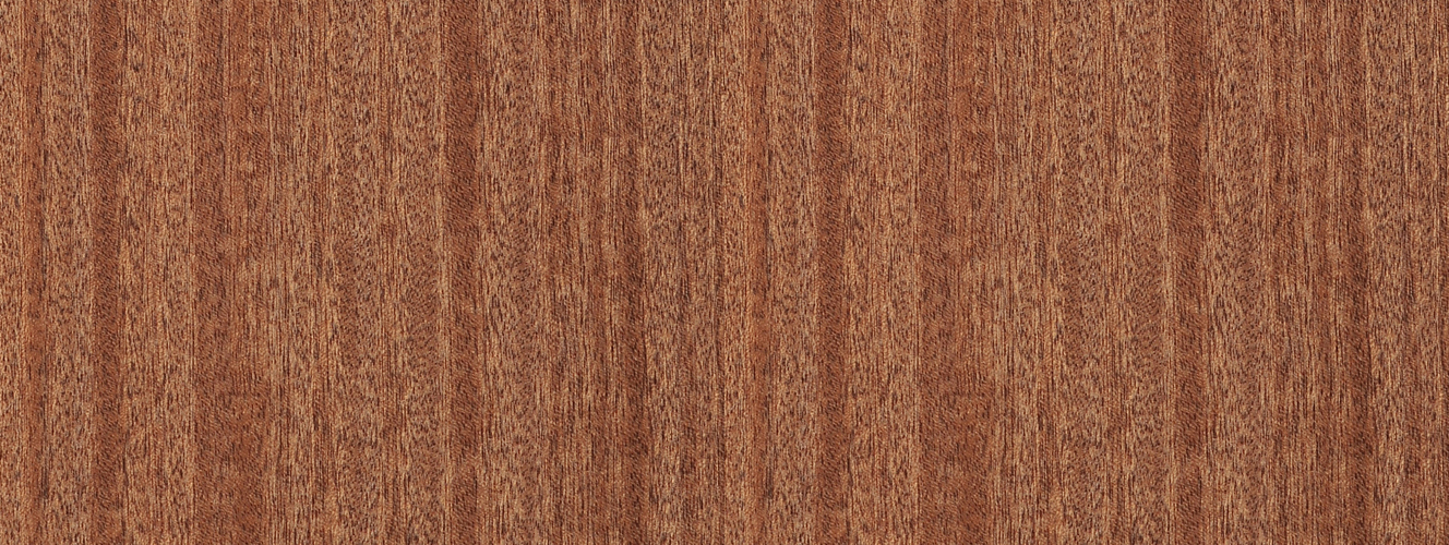 Sapelli